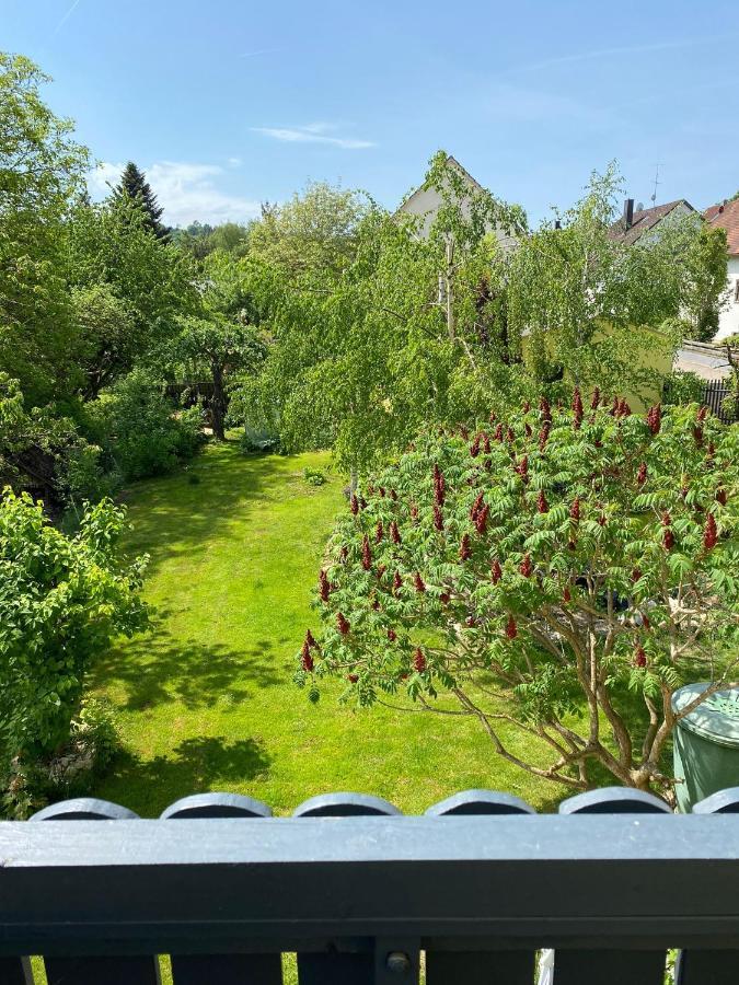 Ferienwohnung Zur Roni Тройхтлинген Экстерьер фото